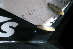 120114 6 RIMG1904.jpg